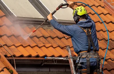 Démoussage et hydrofuge de toiture à Vatilieu